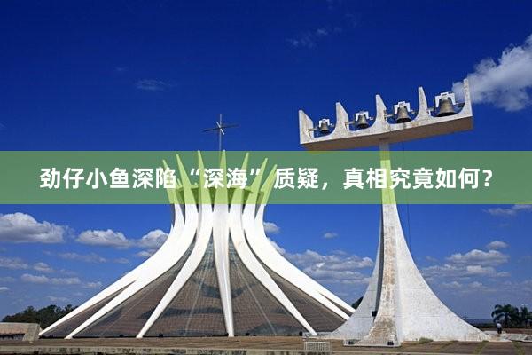 劲仔小鱼深陷 “深海” 质疑，真相究竟如何？