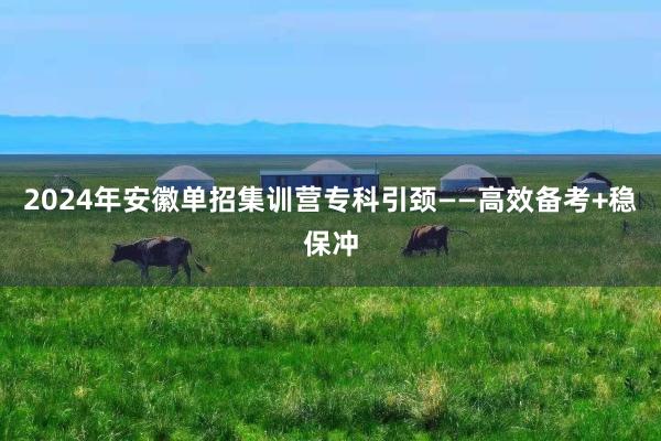 2024年安徽单招集训营专科引颈——高效备考+稳保冲