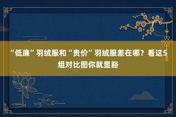 “低廉”羽绒服和“贵价”羽绒服差在哪？看这5组对比图你就显豁