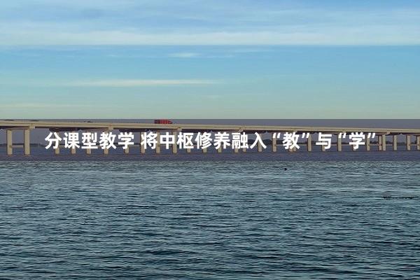 分课型教学 将中枢修养融入“教”与“学”